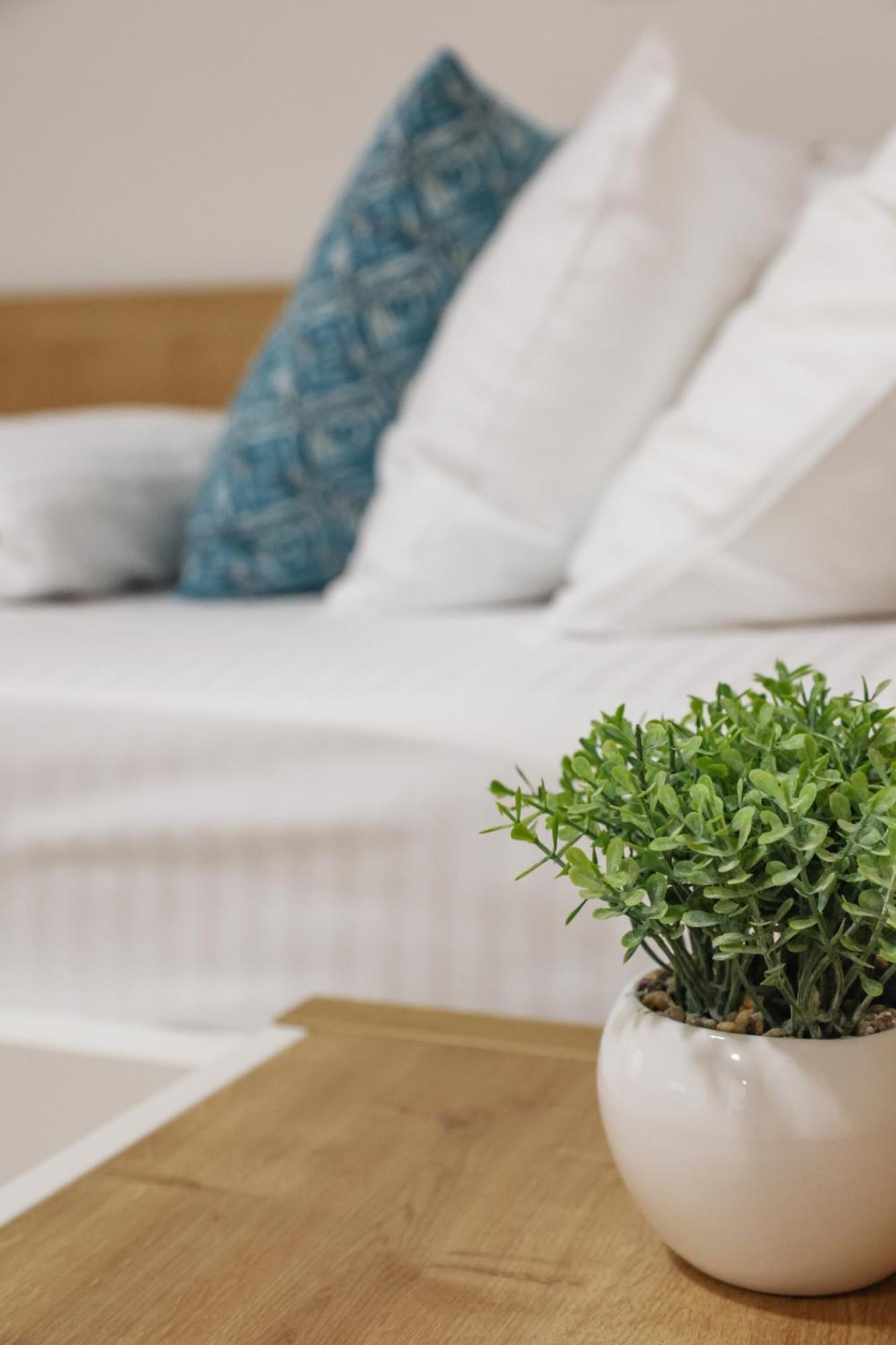 Grand Park Rooms & Apartments Cacak Bagian luar foto
